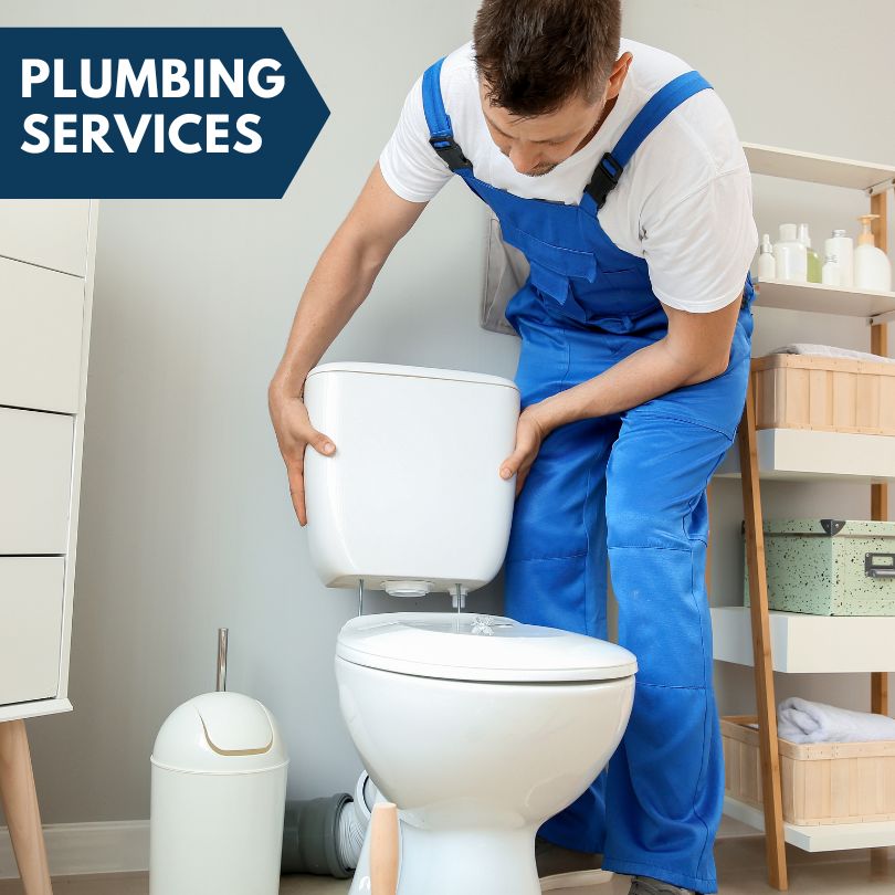 Plumbing Company in Claytonville, IL